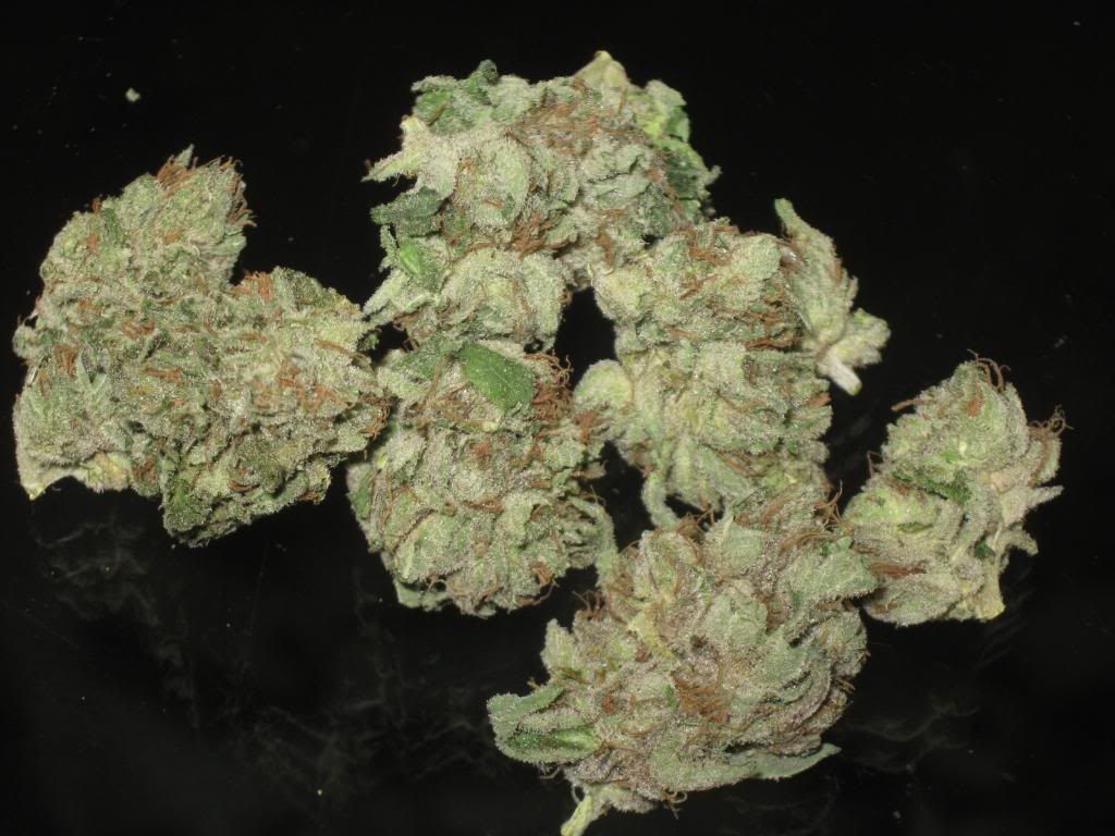An image of Platinum Kush