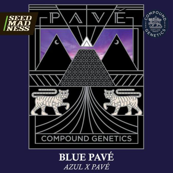 An image of Blue Pavé