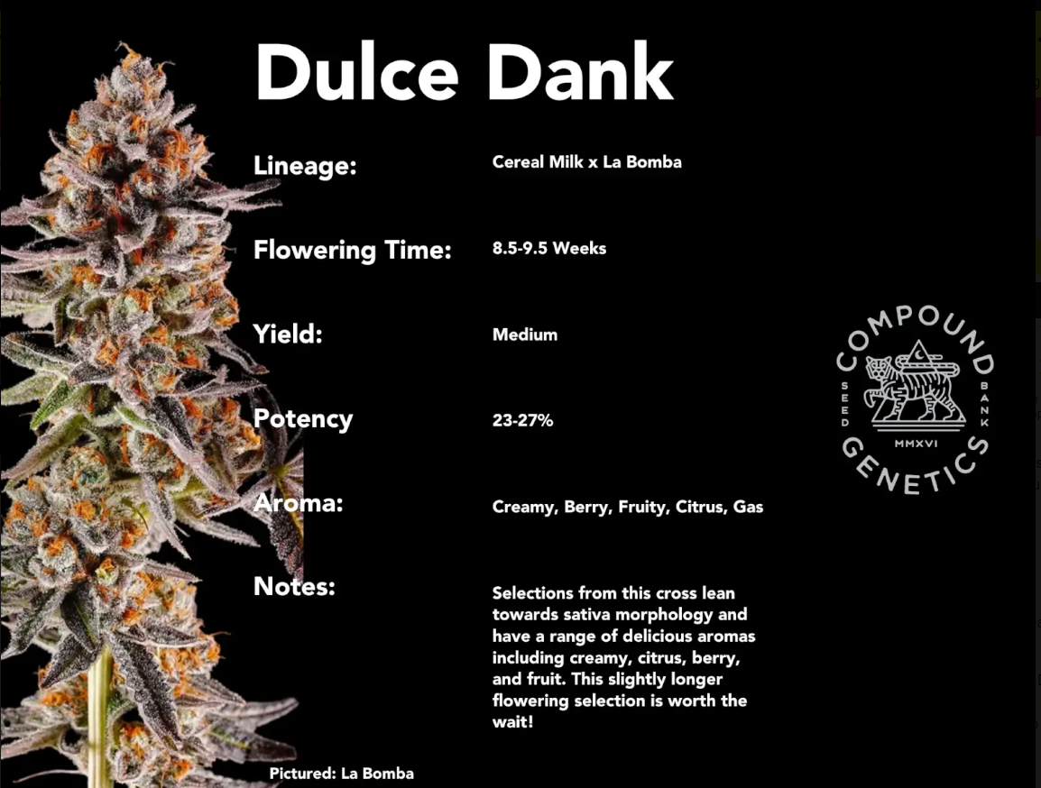 An image of Dulce Dank
