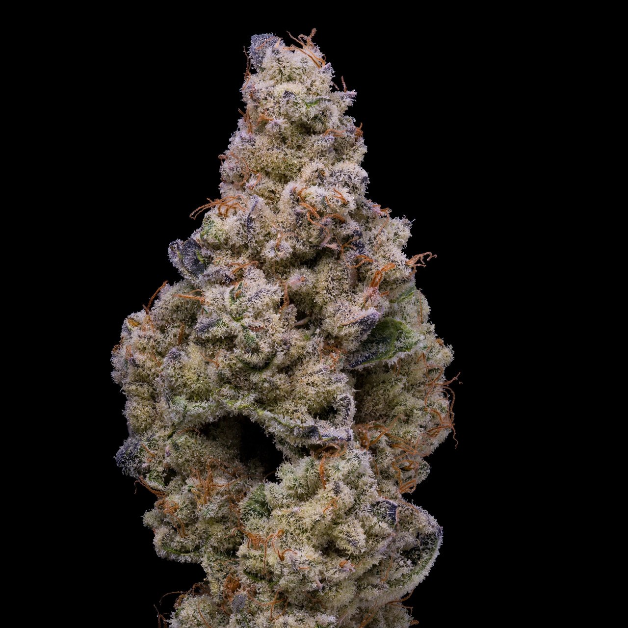 An image of Crispy Sugar