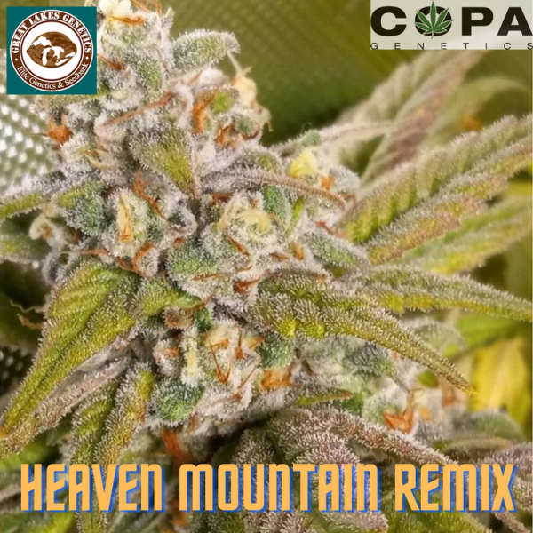 An image of Heaven Mountain Remix