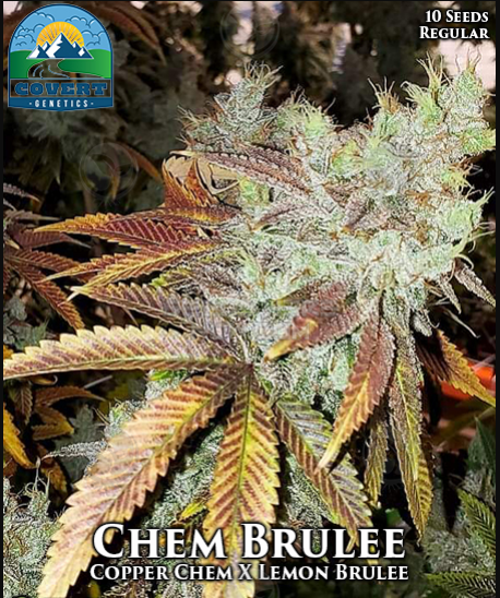 An image of Chem Brulee