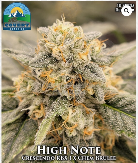 An image of High Note