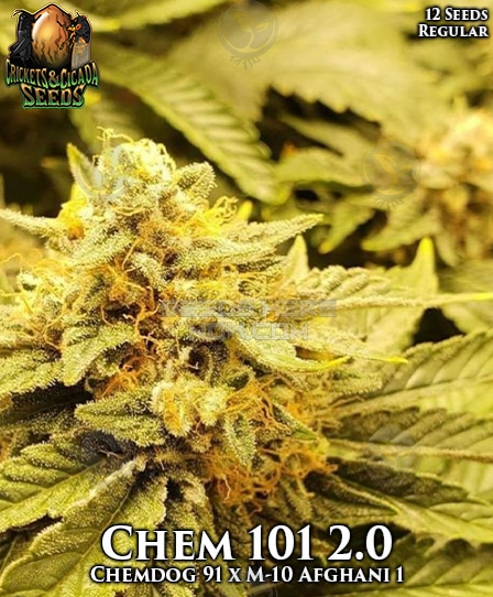 An image of Chem 101 2.0