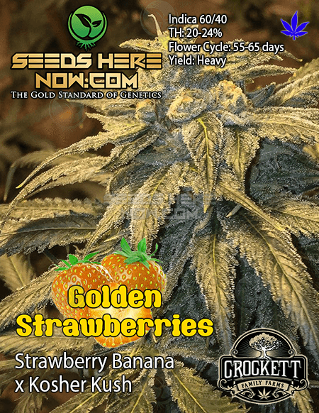 An image of Golden Strawberries