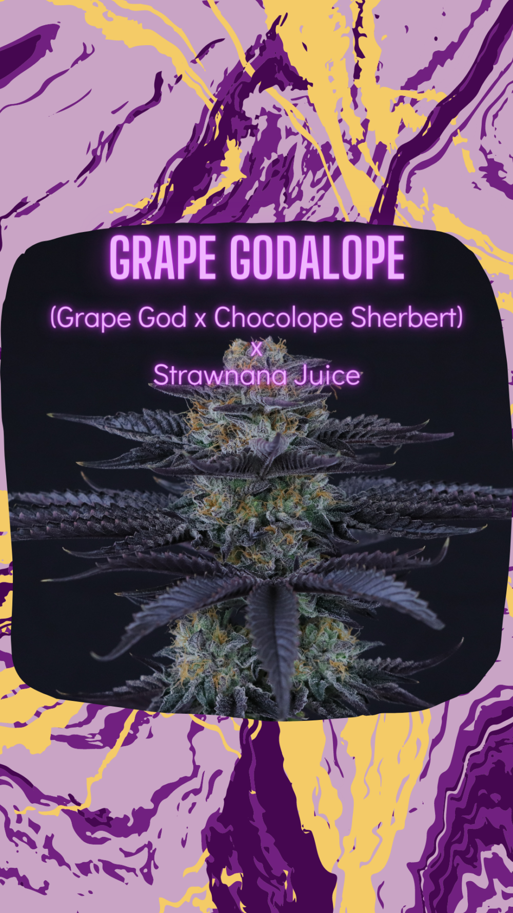 An image of Grape Godalope