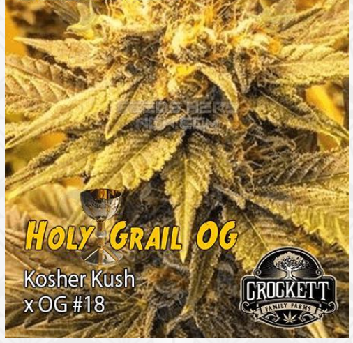 An image of Holy Grail OG