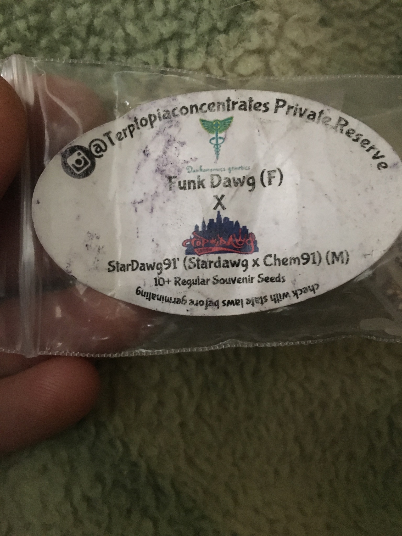 An image of Funkdawg 91