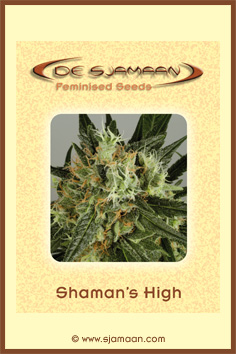 An image of Shaman's High #2