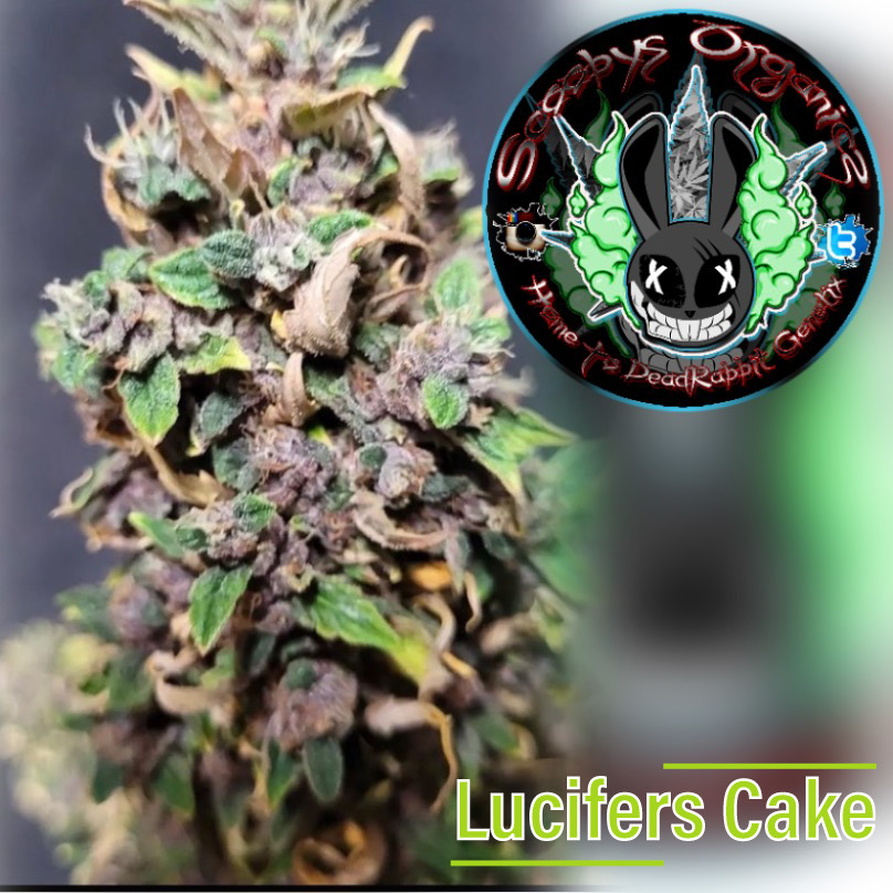 An image of Lucifers Cake
