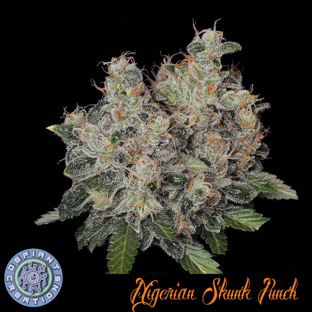 An image of Nigerian Skunk Punch