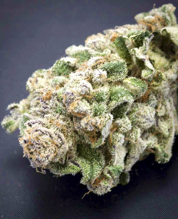 An image of Auto Hindu Kush