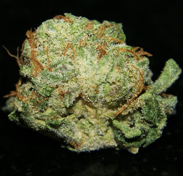 An image of Bubble Kush