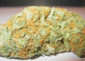 An image of White Widow Bubble