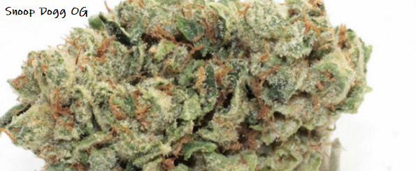 An image of Snoop Dogg OG