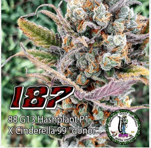 An image of 187