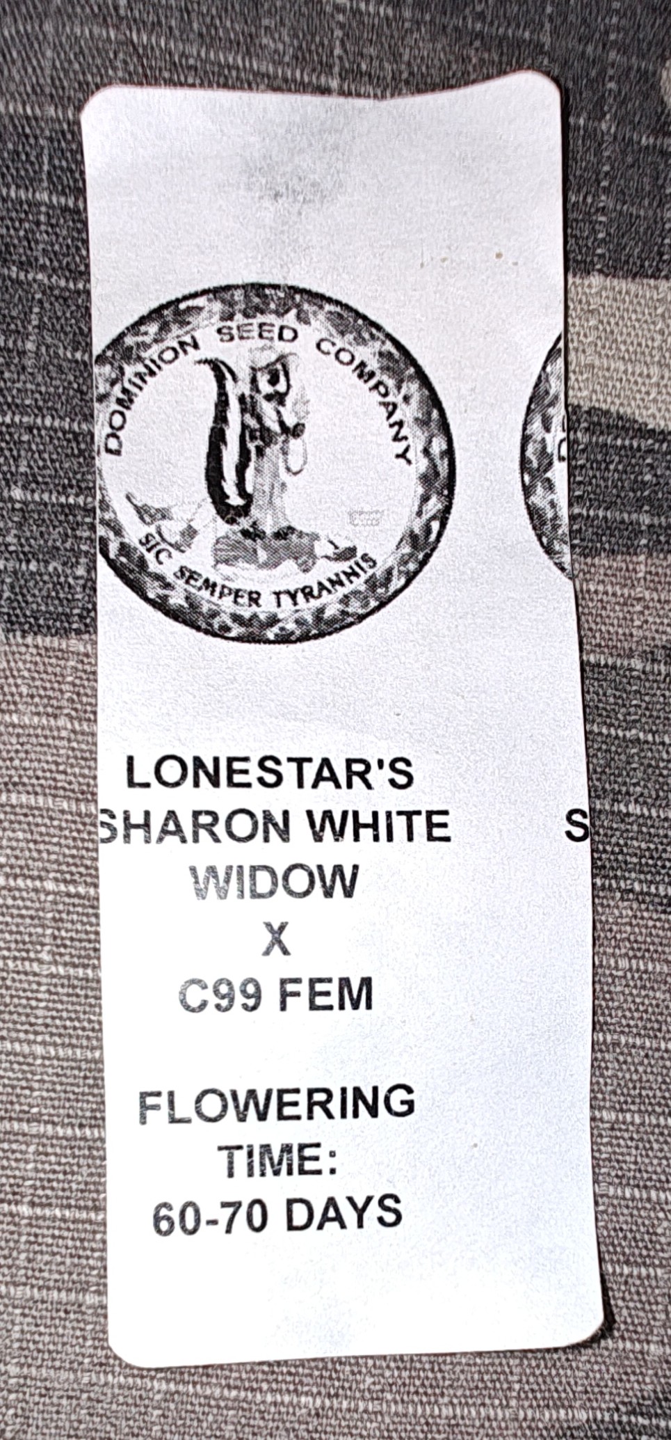 An image of Lonestar Sharon's White Widow x Cinderella 99