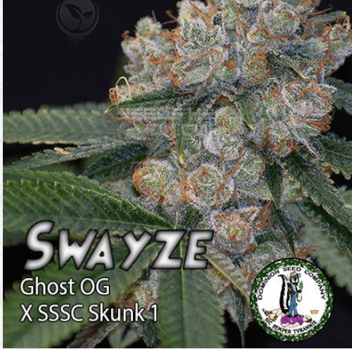 An image of Swayze