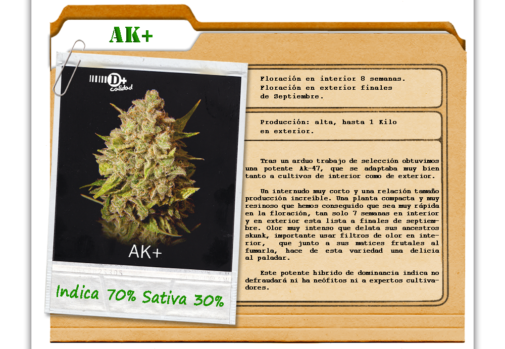 An image of Ak+