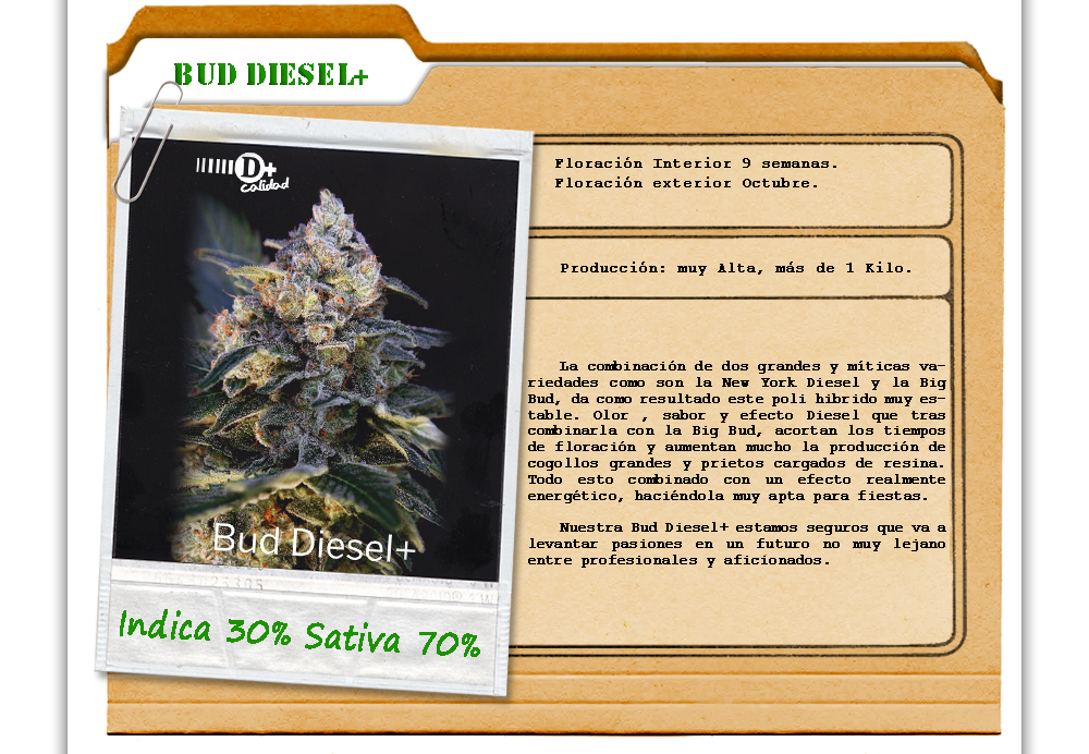 An image of Bud Diesel+