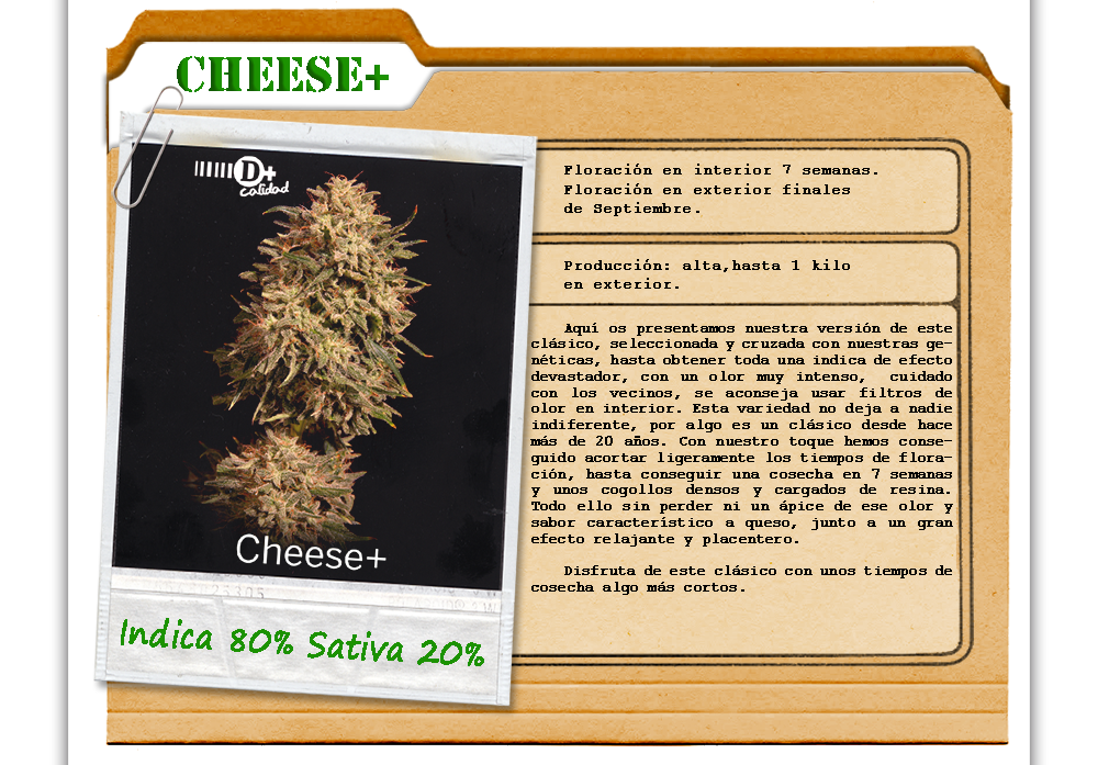 An image of Cheese+