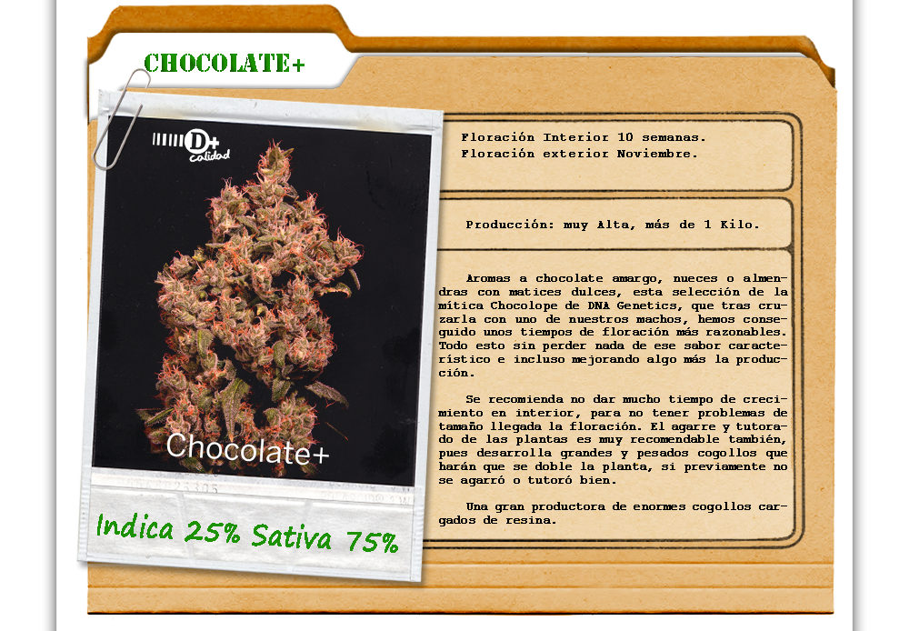 An image of Chocolate+