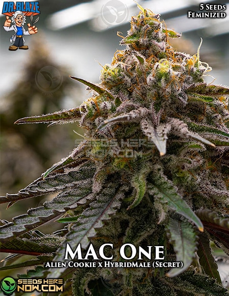 An image of Mac One
