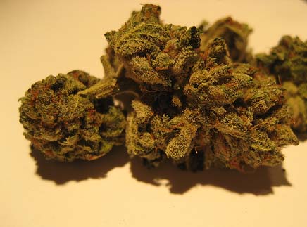 An image of Bubba Kush