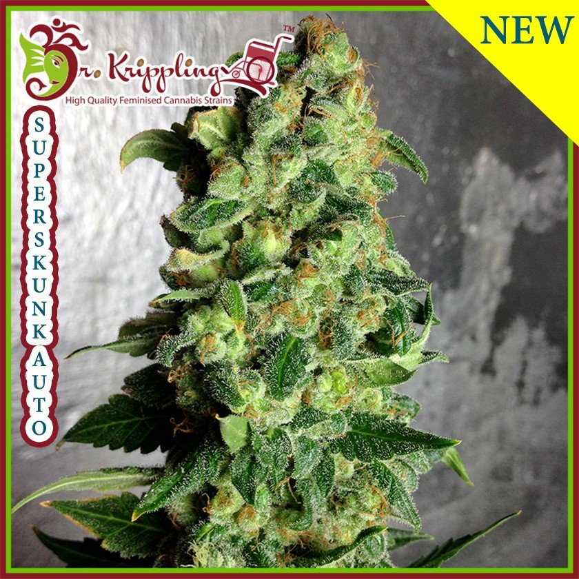 An image of Super Skunk Auto