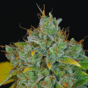 An image of Sour Peach Cobbler