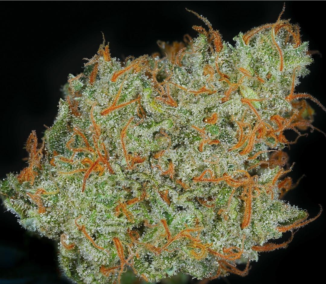 An image of Supa Durban