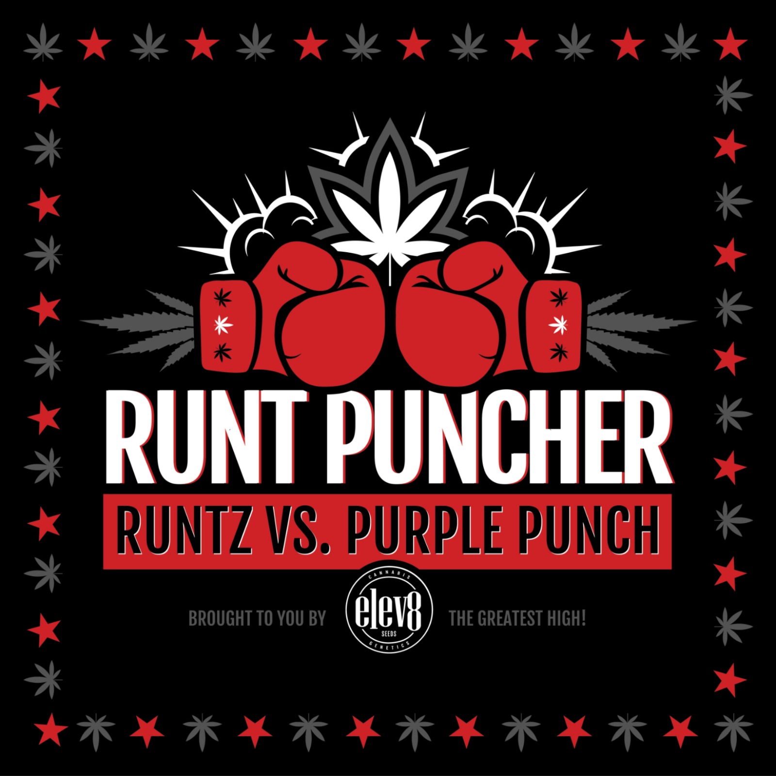 An image of Runt Puncher