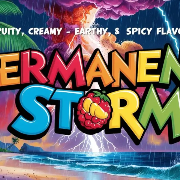 An image of Permanent Storm