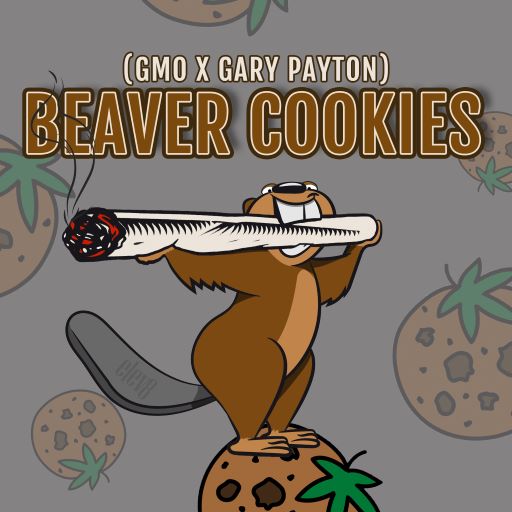 An image of Beaver Cookies