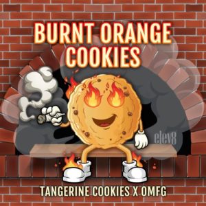 An image of Burnt Orange Cookies