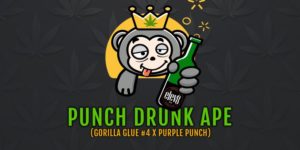 An image of Punch Drunk Ape