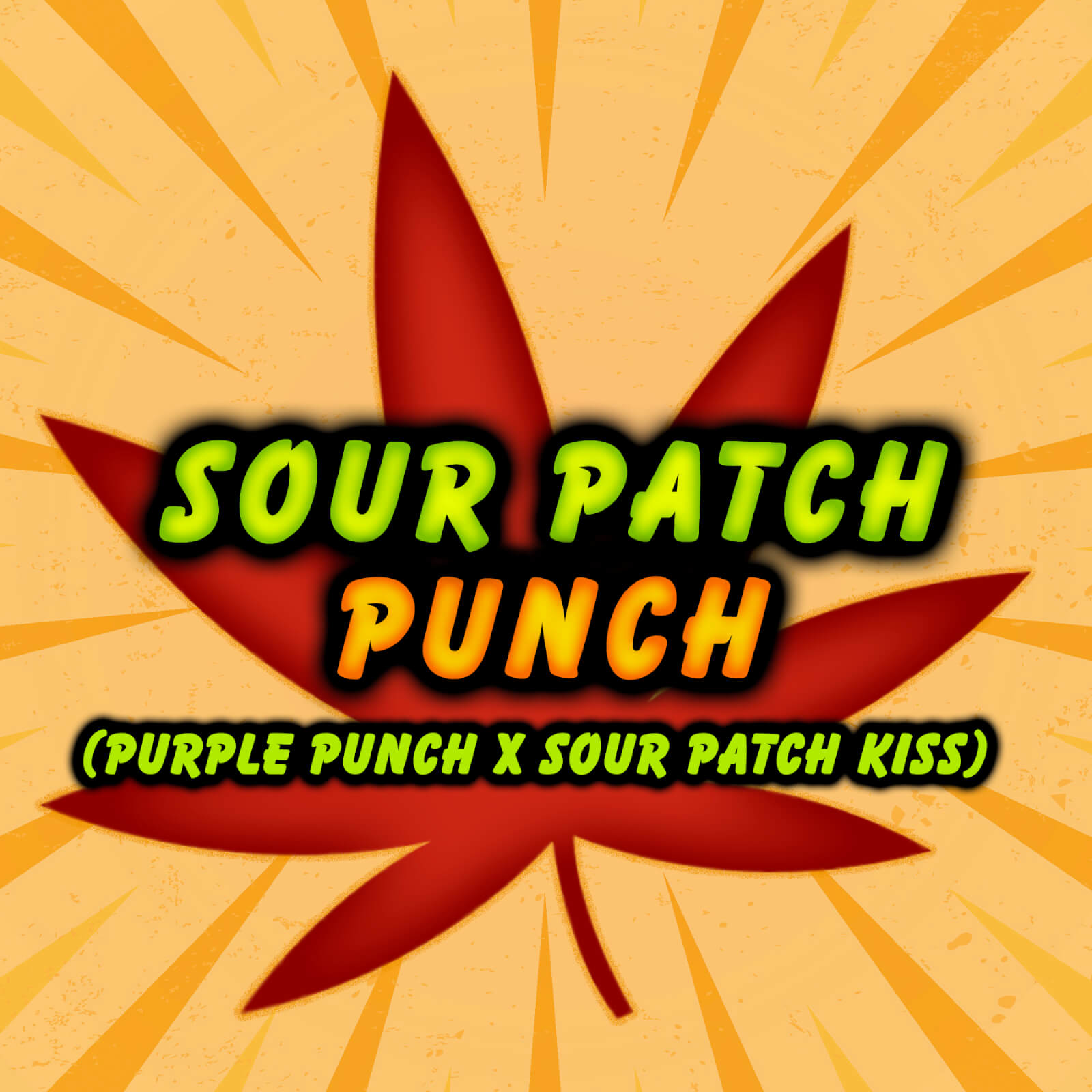 An image of Sour Patch Punch