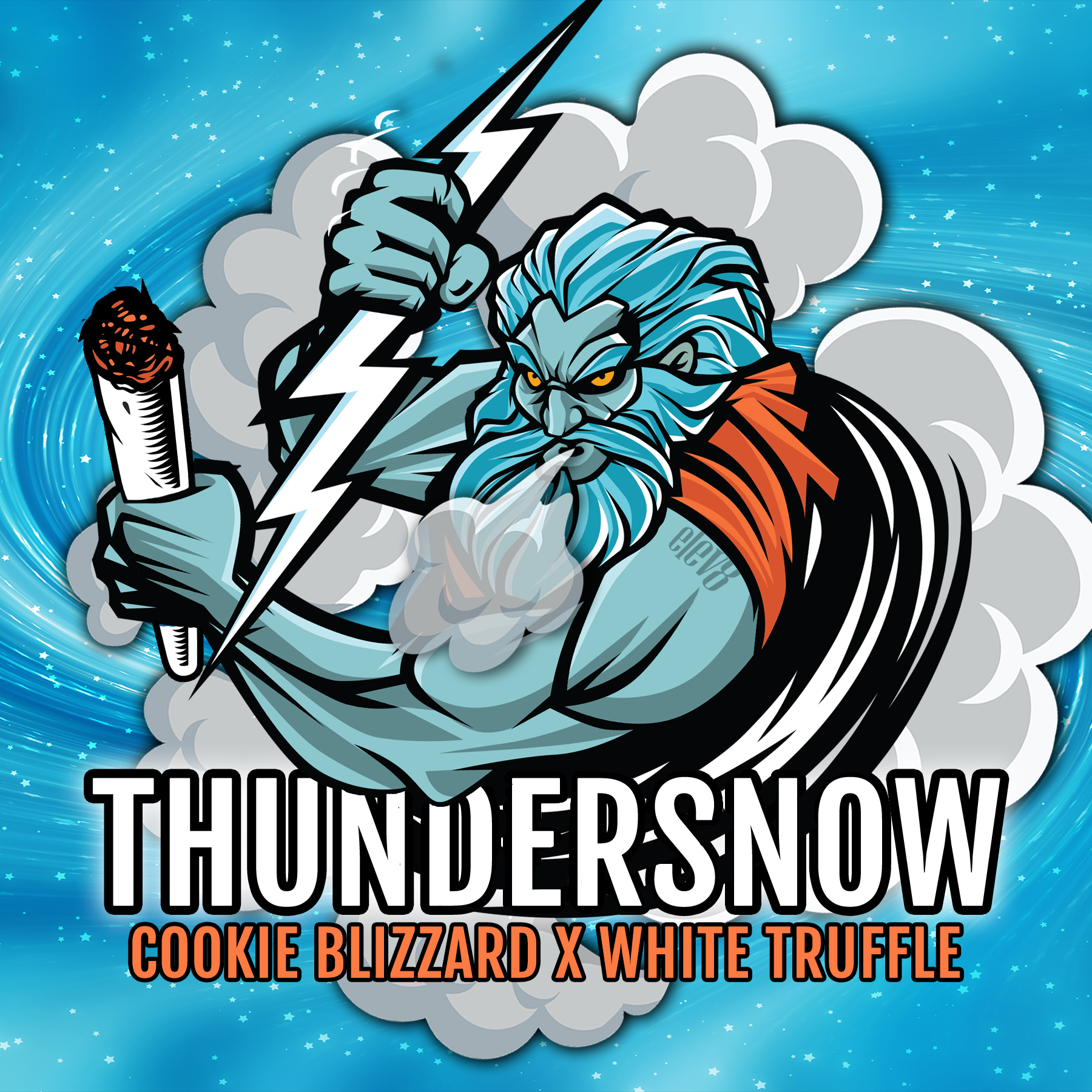 An image of Thundersnow