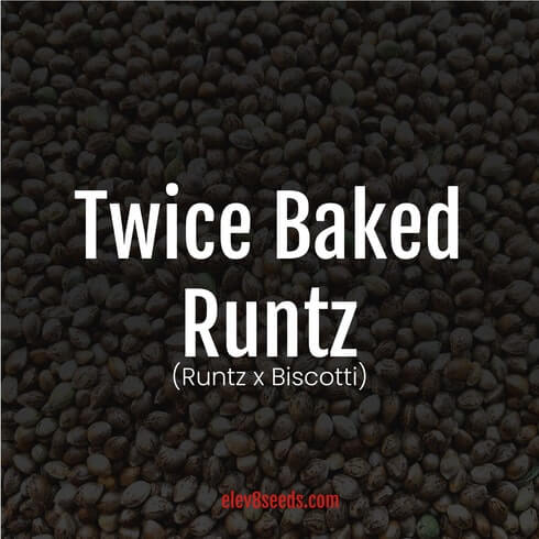 An image of Twice Baked Runtz