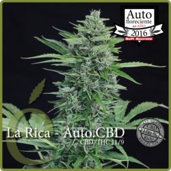 An image of La Rica Auto CBD