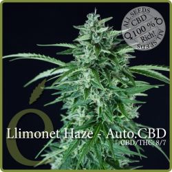 An image of Llimonet Haze Auto CBD