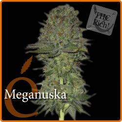 An image of Meganuska