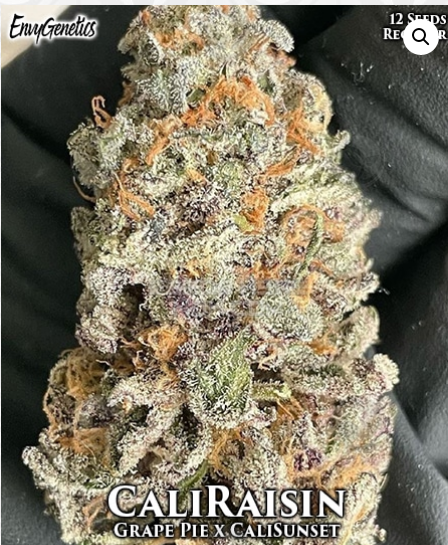An image of CaliRaisin