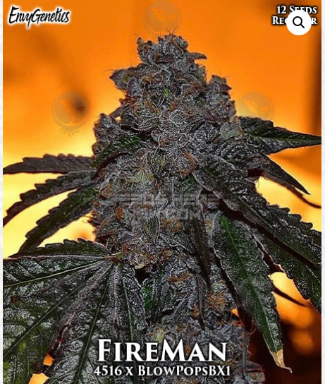 An image of FireMan
