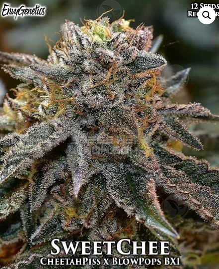An image of SweetChee
