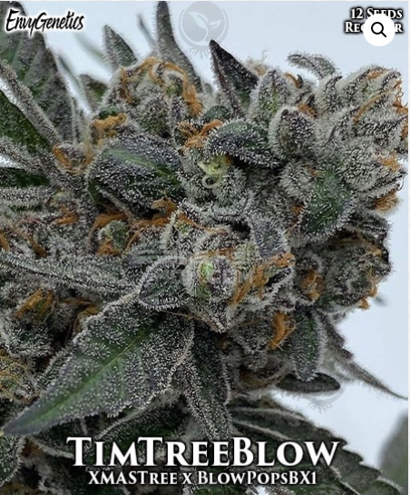 An image of TimTreeBlow