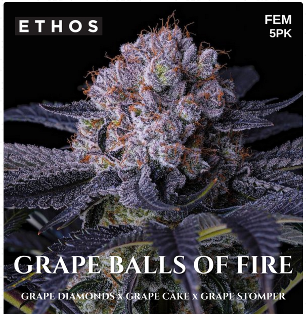 An image of Grape Balls Of Fire