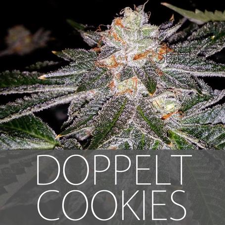 An image of Doppelt Cookies