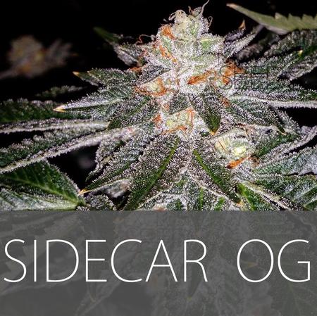 An image of Sidecar OG