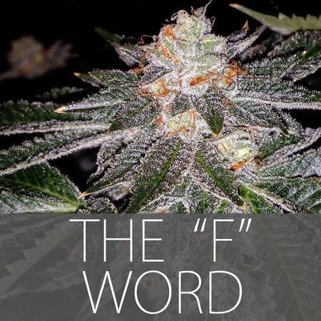 An image of The F Word